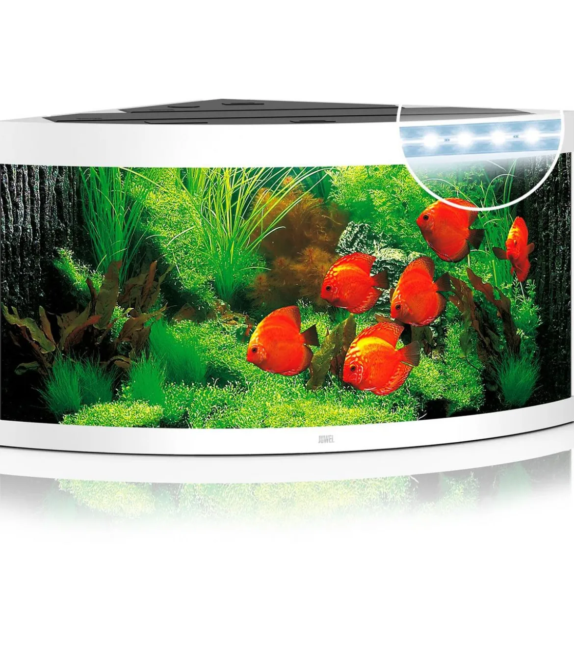 JUWEL® AQUARIUM Trigon 350 LED
