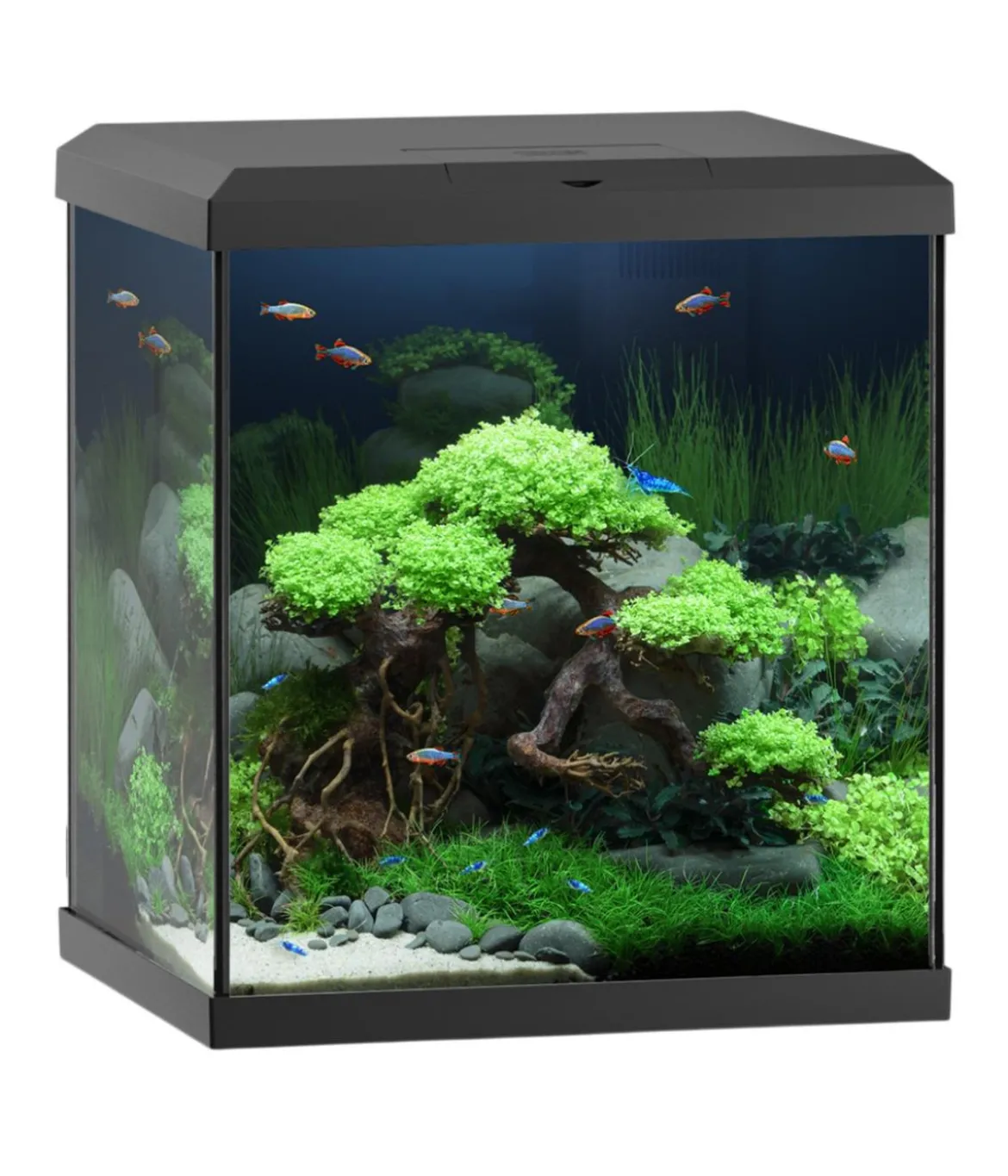 JUWEL® AQUARIUM Vio Cube 54, ca. B41/H47/T36 cm, 54 l