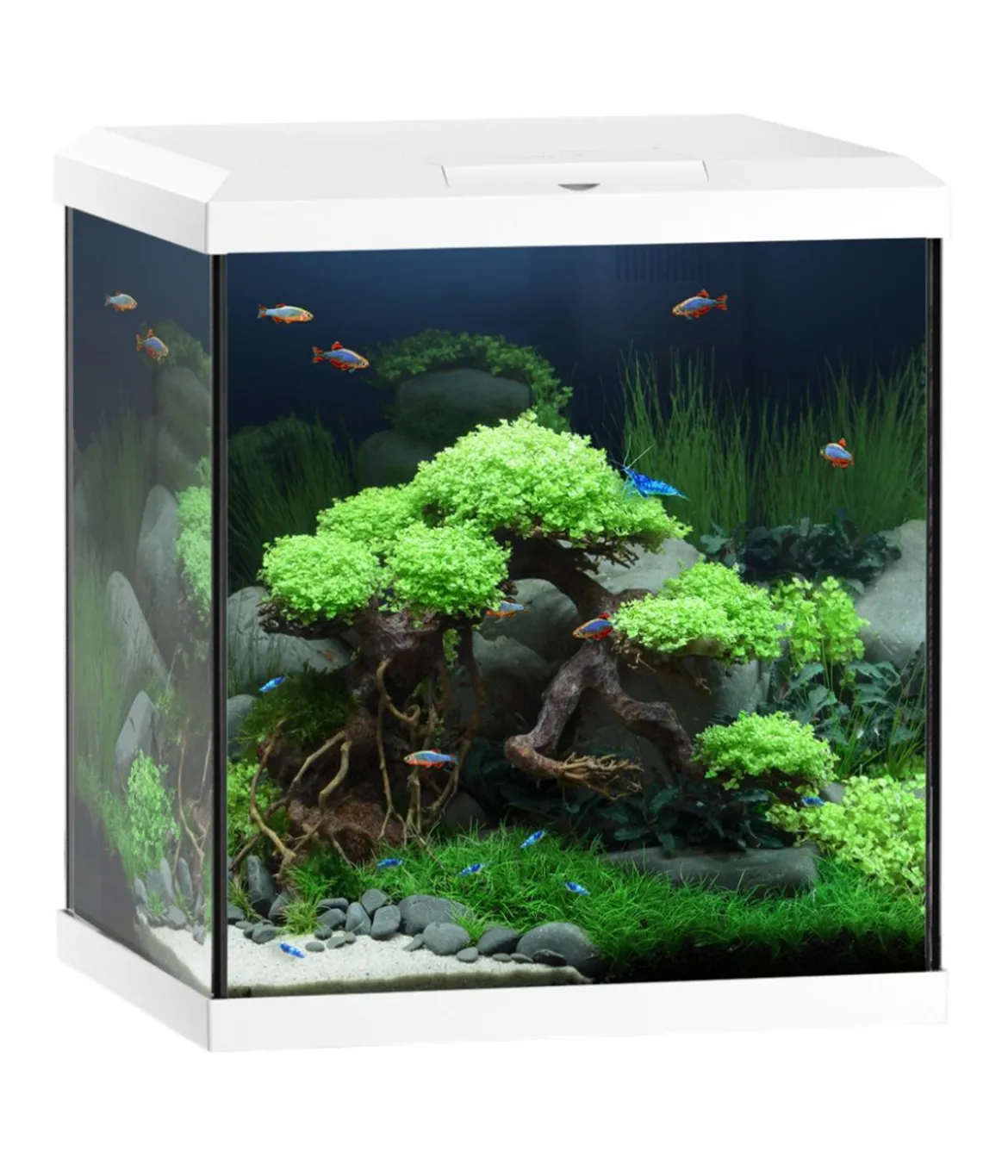 JUWEL® AQUARIUM Vio Cube 54, ca. B41/H47/T36 cm, 54 l
