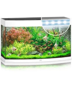 JUWEL® AQUARIUM Vision 180 LED