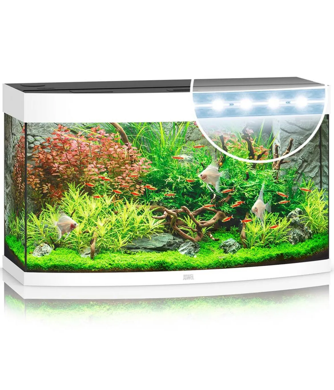 JUWEL® AQUARIUM Vision 180 LED
