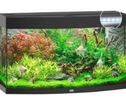 JUWEL® AQUARIUM Vision 180 LED