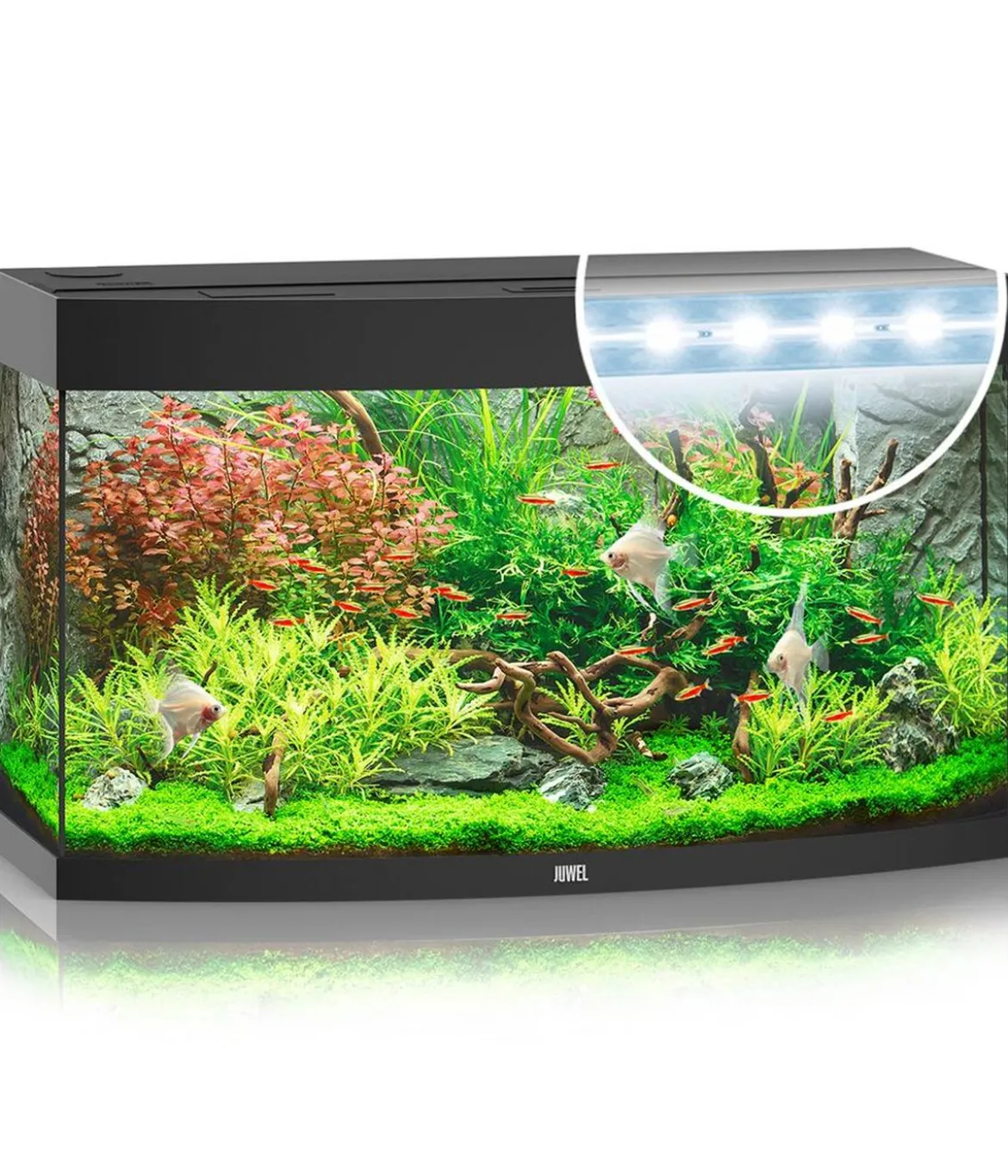 JUWEL® AQUARIUM Vision 180 LED