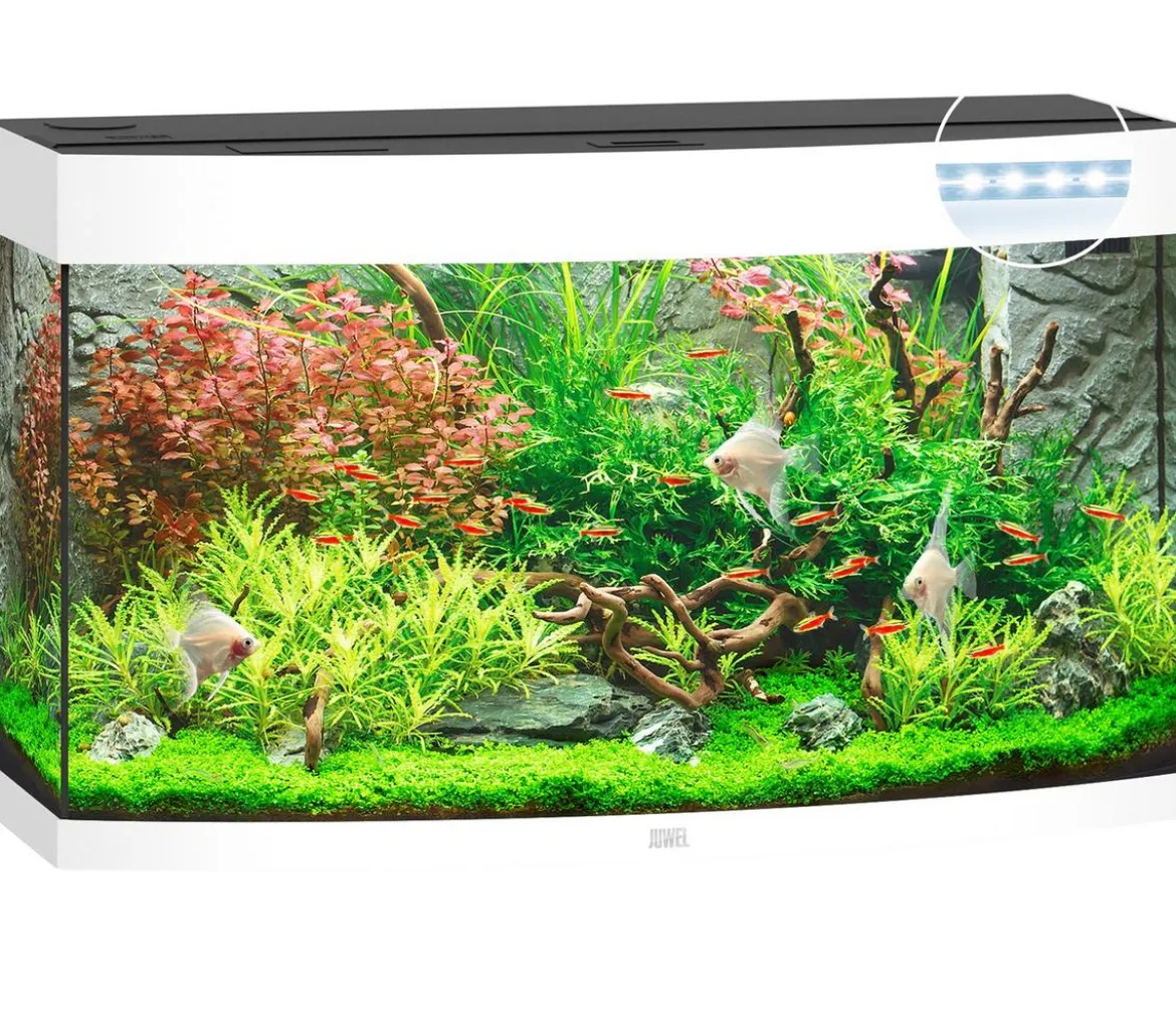 JUWEL® AQUARIUM Vision 180 LED