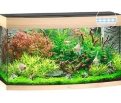 JUWEL® AQUARIUM Vision 180 LED