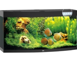 JUWEL® AQUARIUM Vision 260 LED