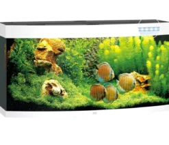 JUWEL® AQUARIUM Vision 260 LED