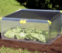 Juwel Frühbeet Biostar Protect 1000, ca. B100/H52/T76 cm