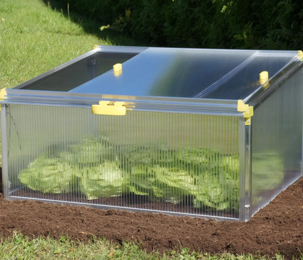 Juwel Frühbeet Biostar Protect 1000, ca. B100/H52/T76 cm