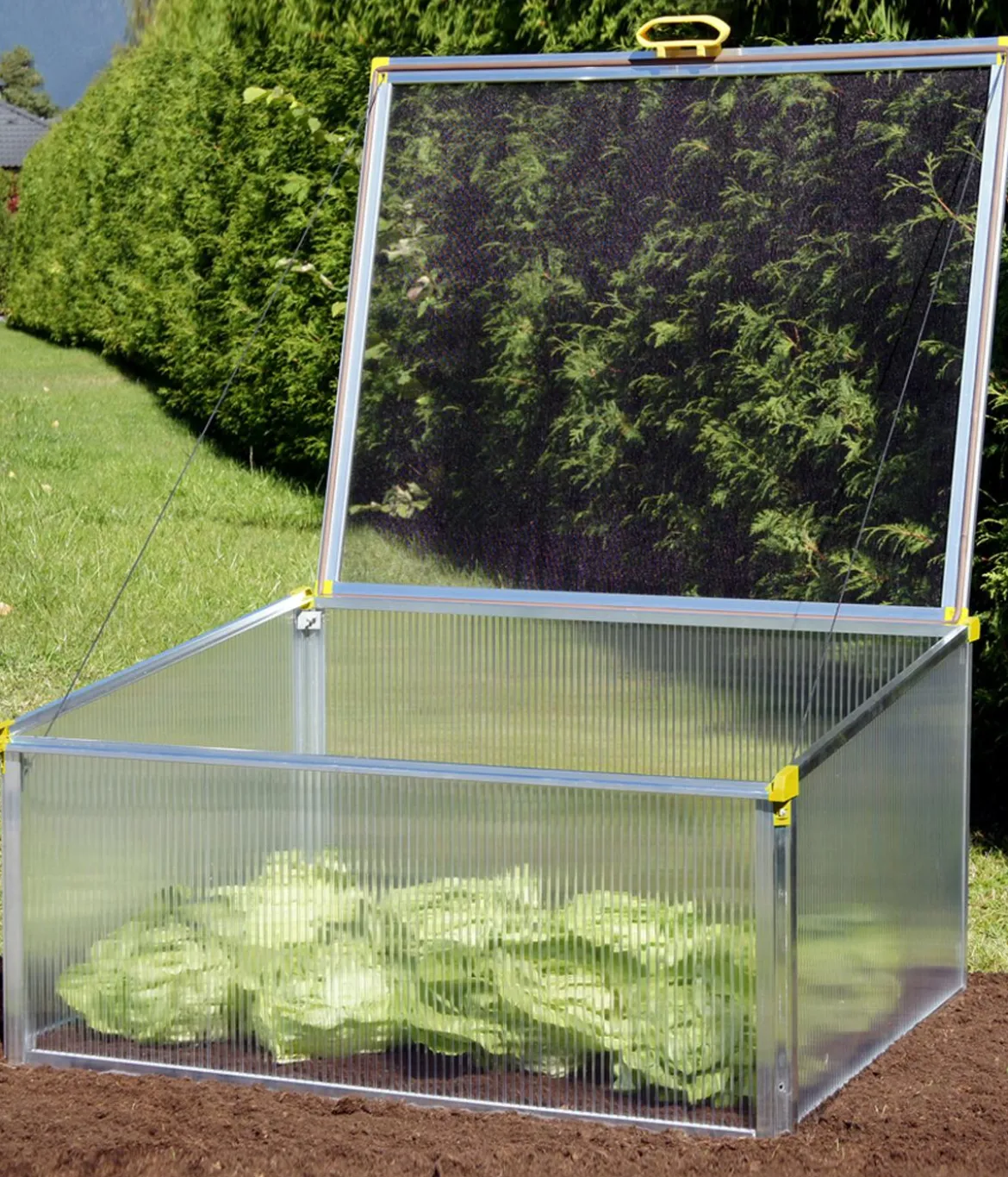 Juwel Frühbeet Biostar Protect 1000, ca. B100/H52/T76 cm