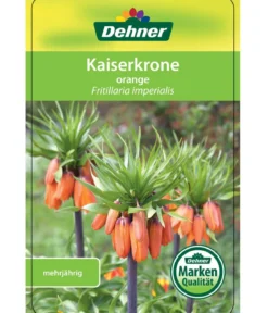 Kaiserkrone