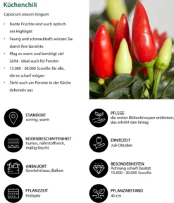 Küchenchili, scharf