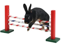 KERBL Agility Nagerspielzeug Steilsprung, ca. B70/H35/T5 cm