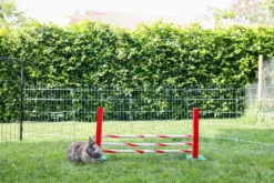 KERBL Agility Nagerspielzeug Steilsprung, ca. B70/H35/T5 cm