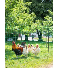 KERBL Geflügelnetz PoultryNet Doppelspitze, elektrifizierbar