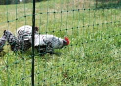 KERBL Geflügelnetz PoultryNet Doppelspitze, elektrifizierbar