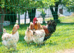 KERBL Geflügelnetz PoultryNet Doppelspitze, elektrifizierbar
