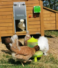 KERBL Hühnerzubehör Futterautomat mit Standfüßen