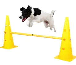 KERBL Hundespielzeug Agility Pylonen-Hürden Set