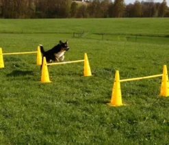 KERBL Hundespielzeug Agility Pylonen-Hürden Set