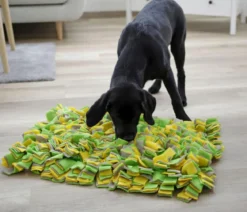KERBL Pet Schnüffelteppich für Hunde, ca. B70/H5/T50 cm