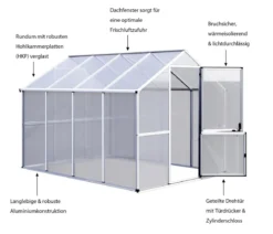 KGT Gewächshaus Callas