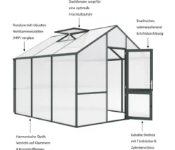 KGT Gewächshaus Dahlie III, ca. B297/H276/T323 cm