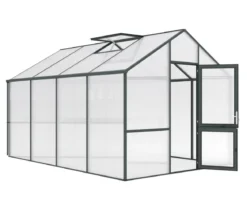 KGT Gewächshaus Dahlie IV, ca. B297/H276/T429 cm