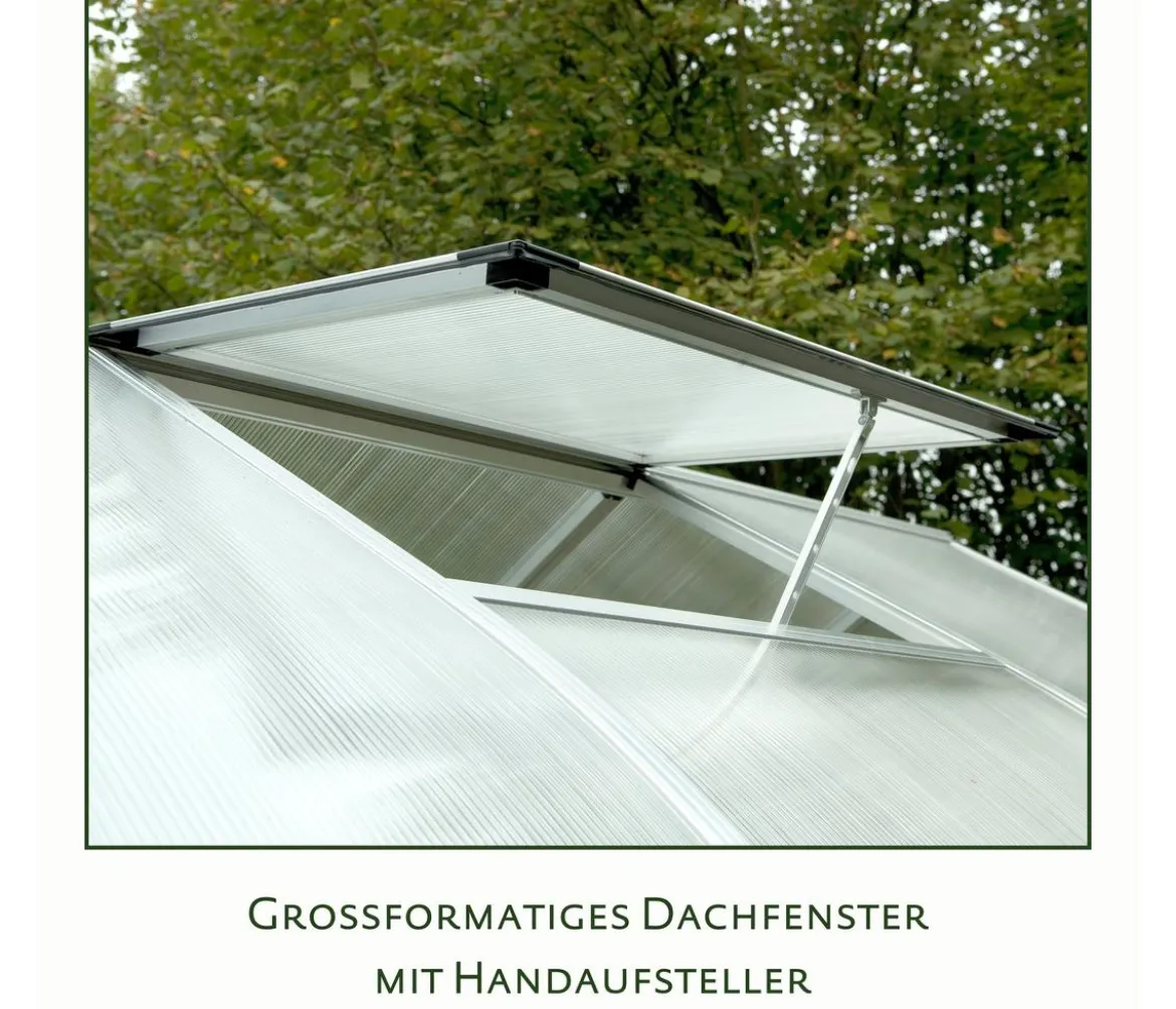 KGT Gewächshaus Rhodo IV