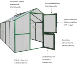 KGT Gewächshaus Rose IV
