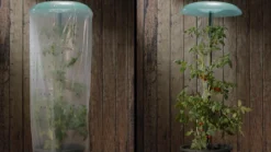 KHW Tomatenhut