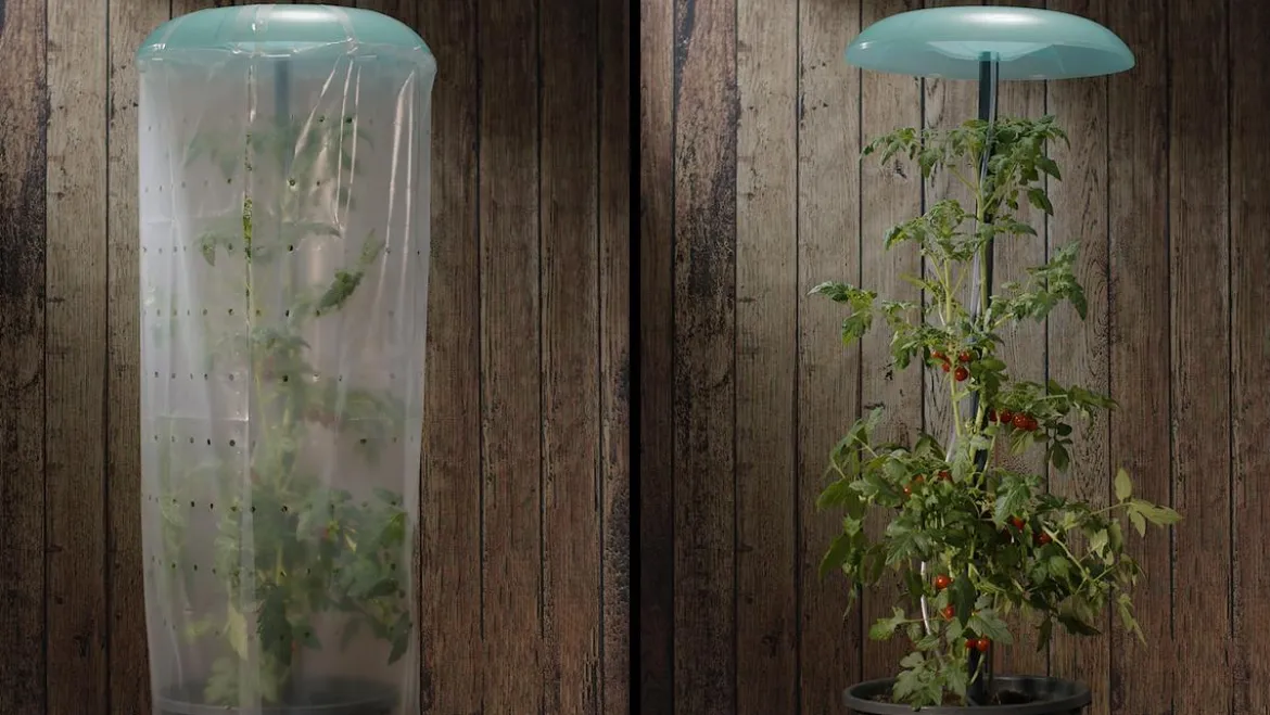 KHW Tomatenhut
