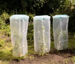 KHW Tomatenhut