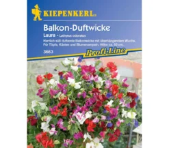 Kiepenkerl Saatgut Balkon-Duftwicke Laura