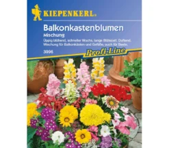 Kiepenkerl Saatgut Balkonkastenblumen Mix