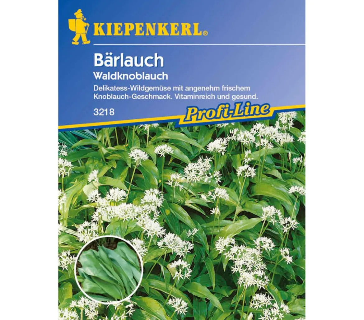 Kiepenkerl Saatgut Bärlauch 'Waldknoblauch'