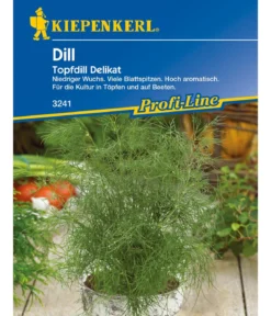 Kiepenkerl Saatgut Dill 'Delikat Topfdill'