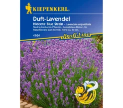Kiepenkerl Saatgut Duft-Lavendel 'Hidcote Blue Strain'