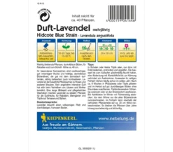 Kiepenkerl Saatgut Duft-Lavendel 'Hidcote Blue Strain'