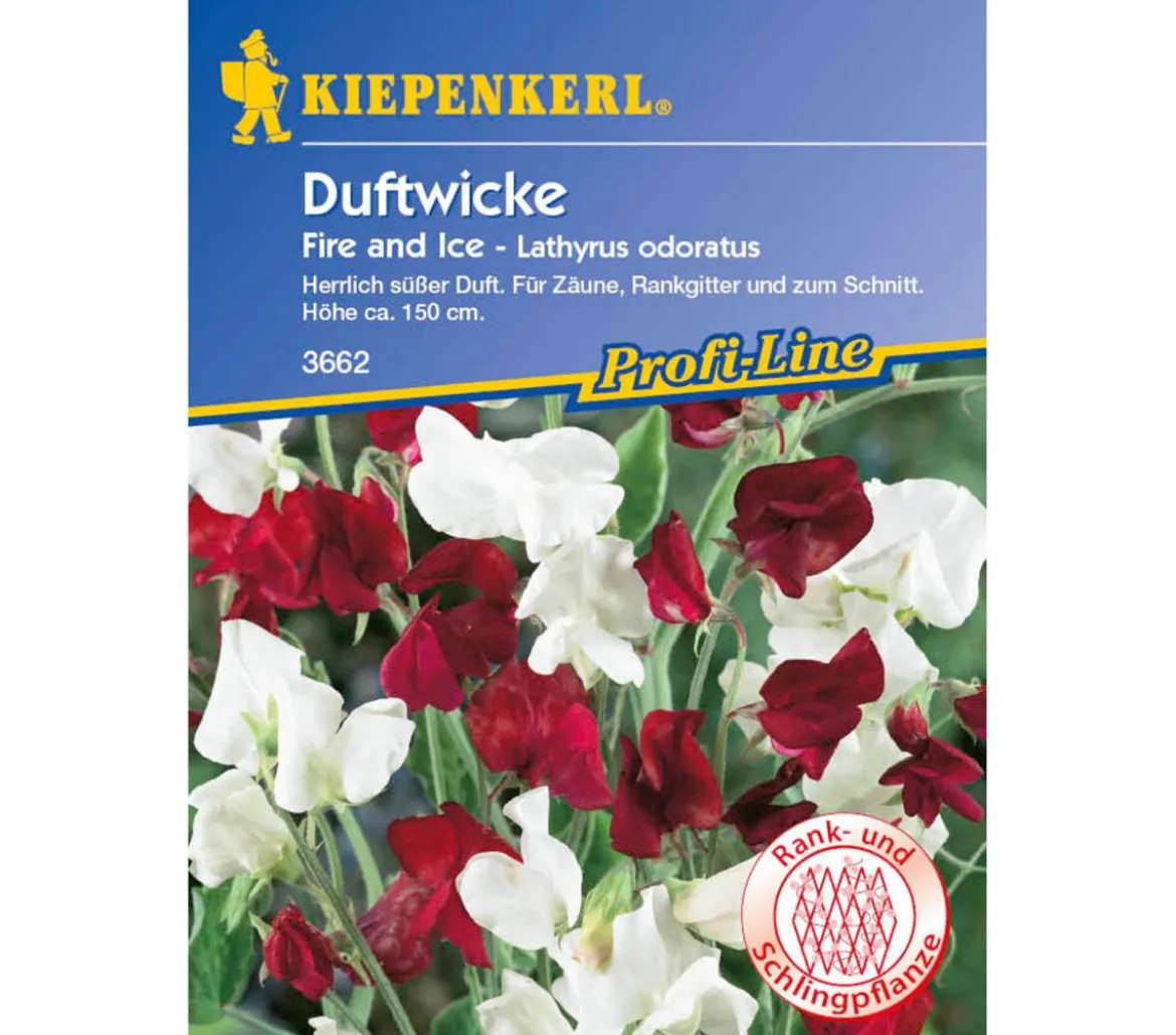 Kiepenkerl Saatgut Duftwicke Fire and Ice