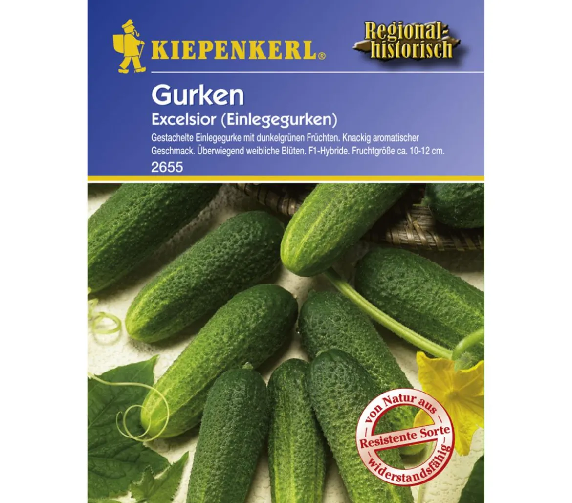 Kiepenkerl Saatgut Gurken 'Excelsior'