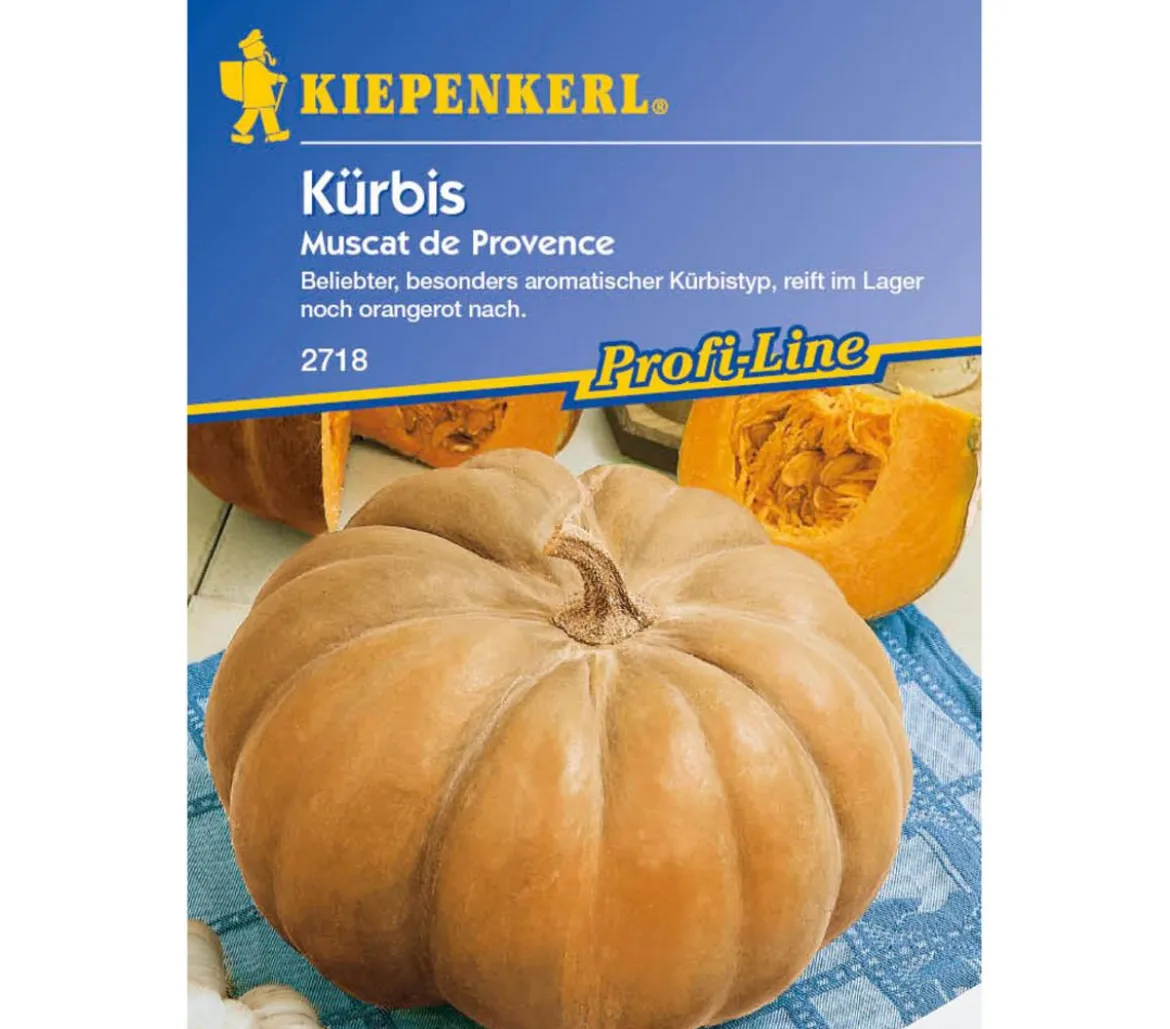 Kiepenkerl Saatgut Kürbis 'Muscat de Provence'