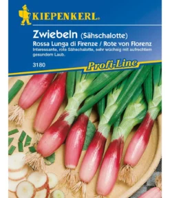 Kiepenkerl Saatgut Lauchzwiebel 'Florenz'