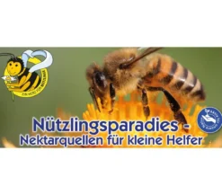 Kiepenkerl Saatgut Nützlingswiese Mix