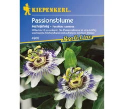 Kiepenkerl Saatgut Passionsblume
