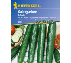 Kiepenkerl Saatgut Salatgurke 'Saladin'