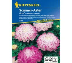 Kiepenkerl Saatgut Sommer-Aster 'Opus'