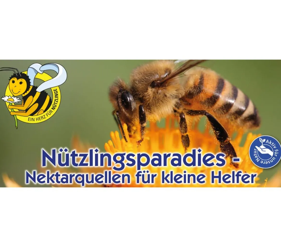 Kiepenkerl Saatgut Sonnenblume 'Samtkönigin'