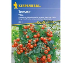 Kiepenkerl Saatgut Tomate 'Vilma'