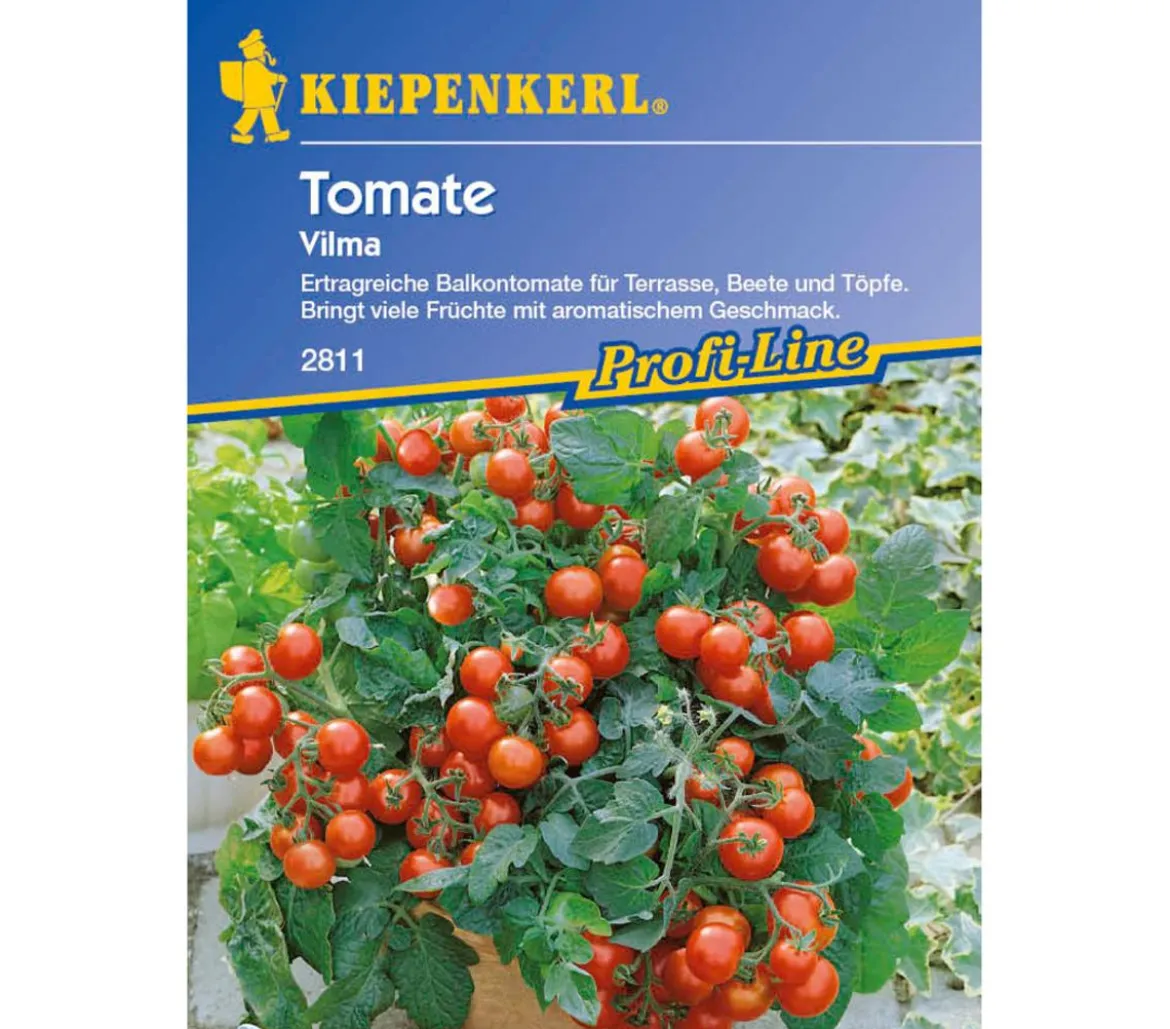 Kiepenkerl Saatgut Tomate 'Vilma'